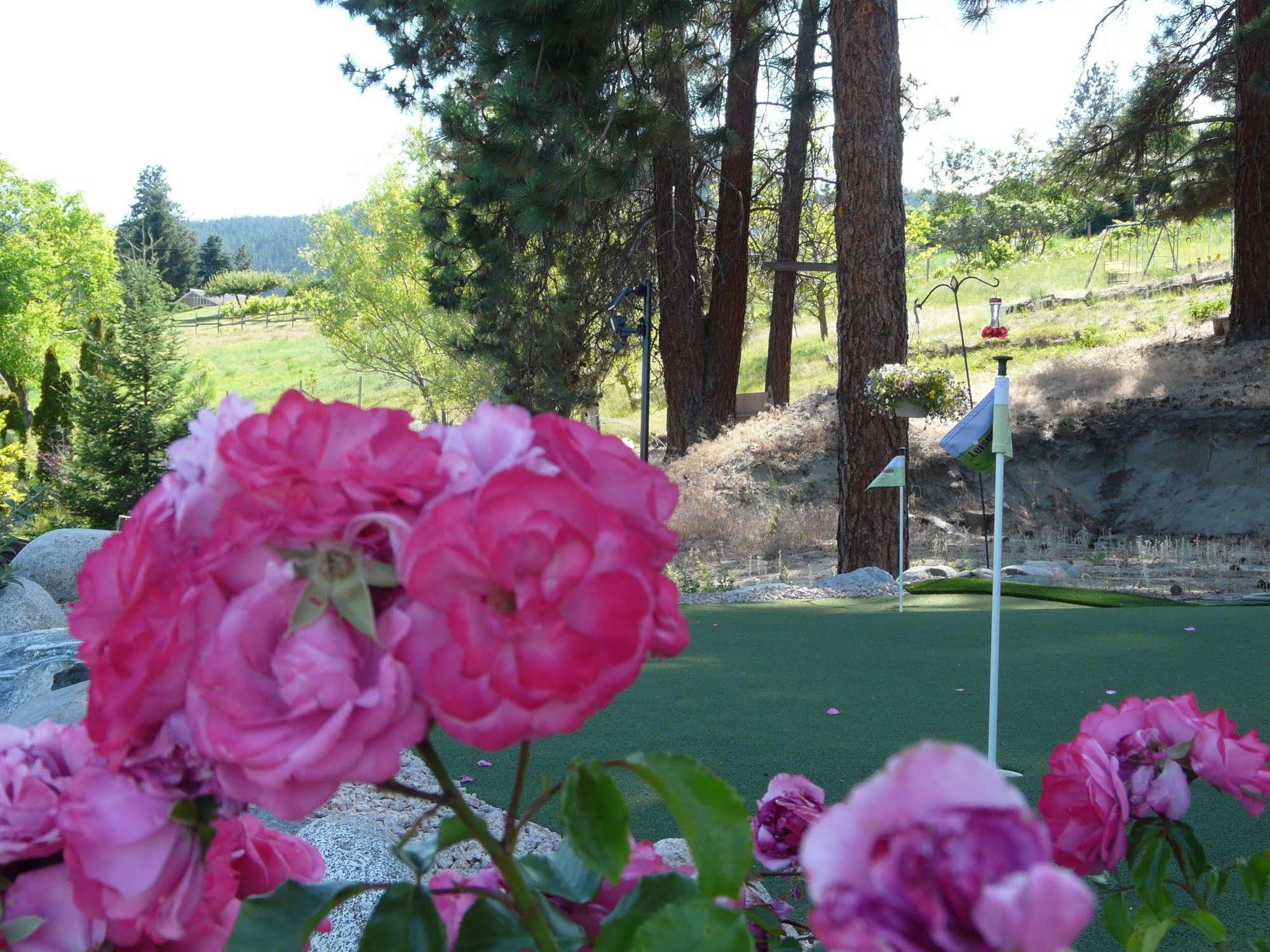 Heartstone B&B Peachland Buitenkant foto