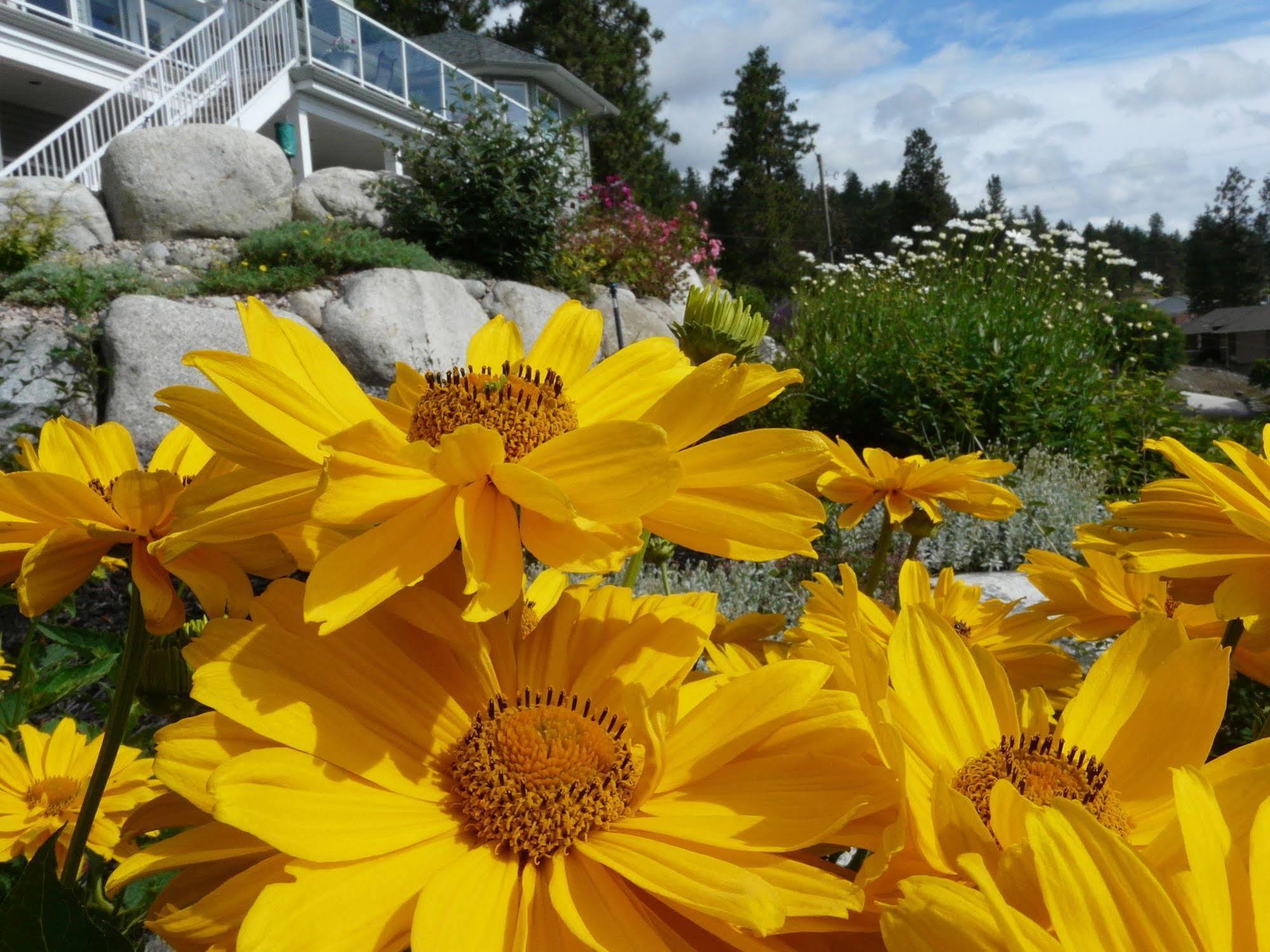 Heartstone B&B Peachland Buitenkant foto